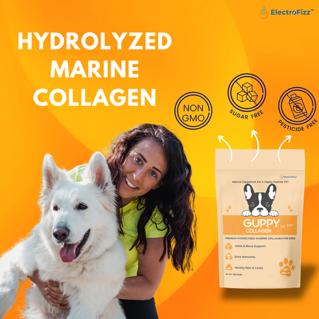 Hydrolysed Marine Collagen Powder for Dogs for Bone and Joint Health, Osteoarthritis, Healthy Coat and Skin Health, Digestive System Non GMO, Gluten Free, Soy Free- 250 Gms