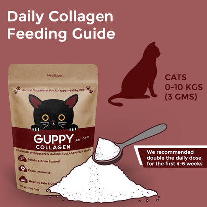 Hydrolysed Marine Collagen Powder for Cats for Bone and Joint Health, Osteoarthritis, Healthy Coat and Skin Health, Digestive System Non GMO, Gluten Free, Soy Free- 250 GMS