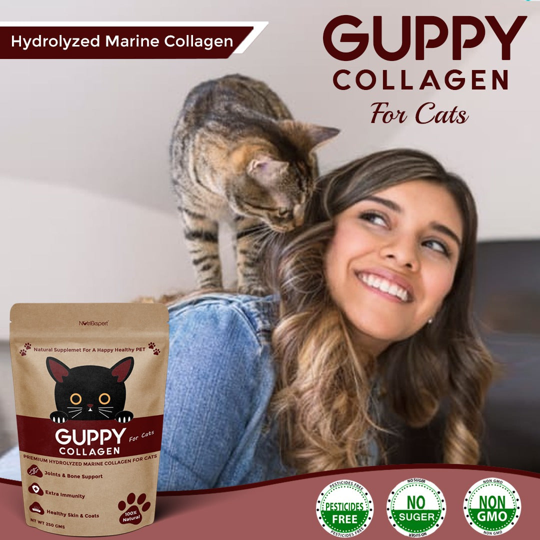 Hydrolysed Marine Collagen Powder for Cats for Bone and Joint Health, Osteoarthritis, Healthy Coat and Skin Health, Digestive System Non GMO, Gluten Free, Soy Free- 250 GMS