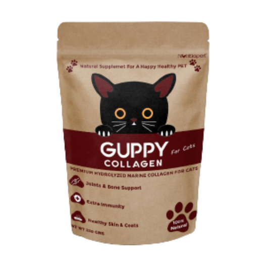 Hydrolysed Marine Collagen Powder for Cats for Bone and Joint Health, Osteoarthritis, Healthy Coat and Skin Health, Digestive System Non GMO, Gluten Free, Soy Free- 250 GMS