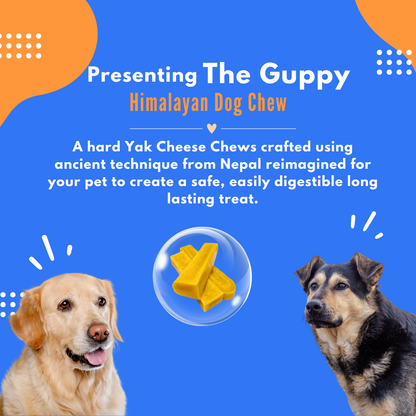 Guppy Himalayan Yak Cheese Dog Chews, 100% Natural, Long Lasting, Gluten Free, Healthy & Safe Dog Treats, Lactose & Grain Free, Protein Rich- for Puppies and Small Dogs- Pack of 2