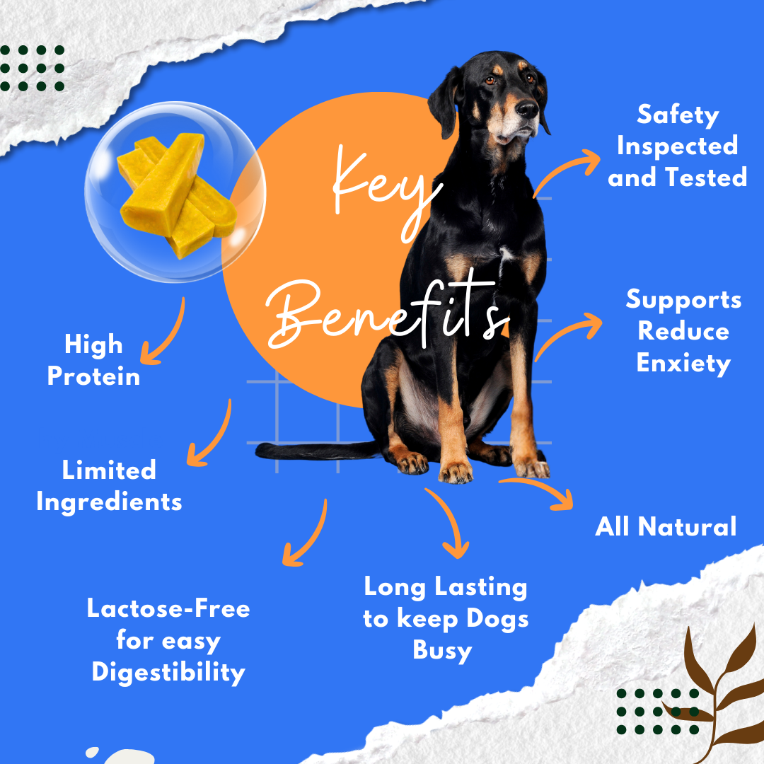 Guppy Himalayan Yak Cheese Dog Chews, 100% Natural, Long Lasting, Gluten Free, Healthy & Safe Dog Treats, Lactose & Grain Free, Protein Rich- for Puppies and Small Dogs- Pack of 2