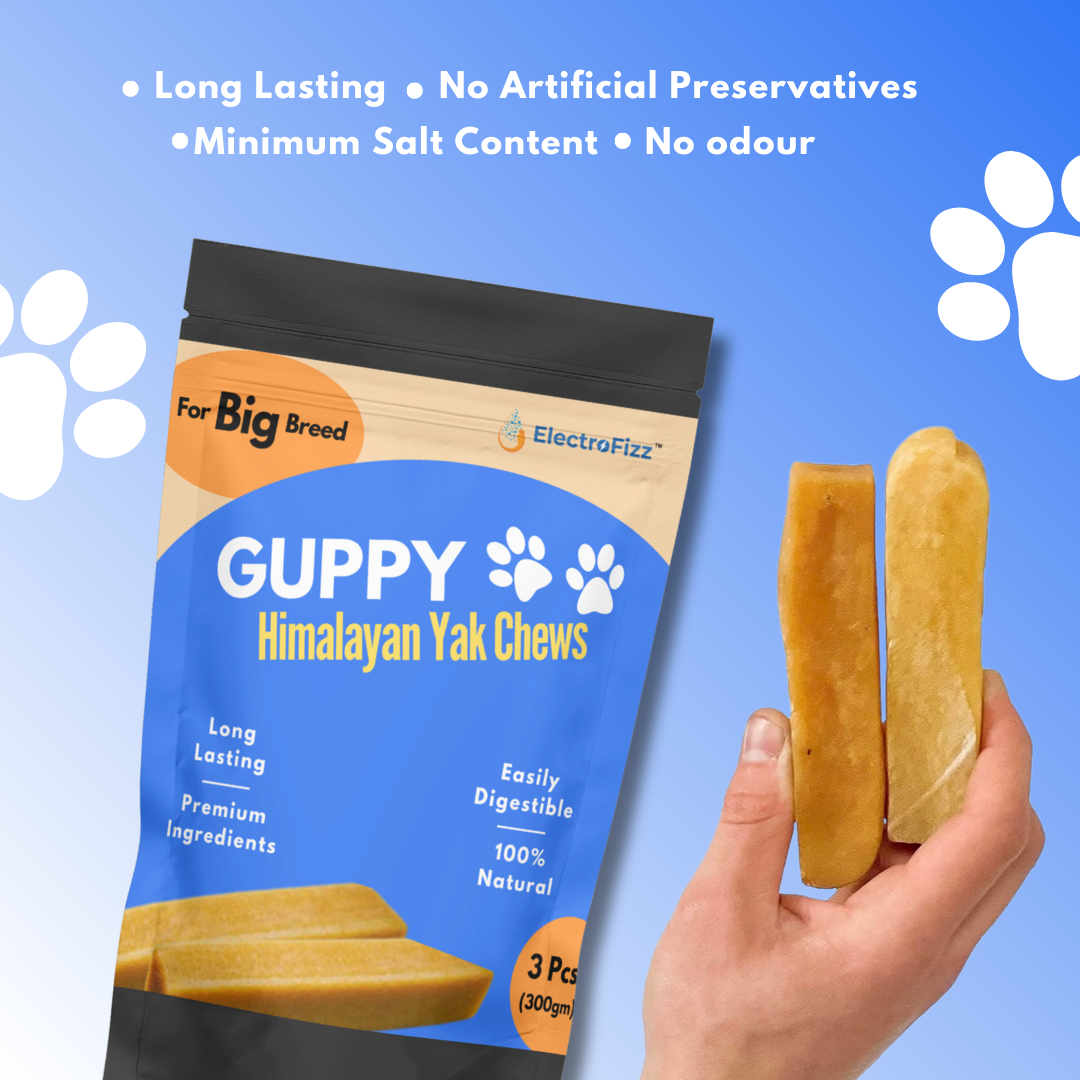 Guppy Himalayan Yak Cheese Dog Chews, 100% Natural, Long Lasting, Gluten Free, Healthy & Safe Dog Treats, Lactose & Grain Free, Protein Rich- for Puppies and Small Dogs- Pack of 2