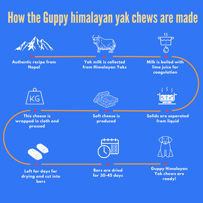 Guppy Himalayan Yak Cheese Dog Chews, 100% Natural, Long Lasting, Gluten Free, Healthy & Safe Dog Treats, Lactose & Grain Free, Protein Rich- for Puppies and Small Dogs- Pack of 2