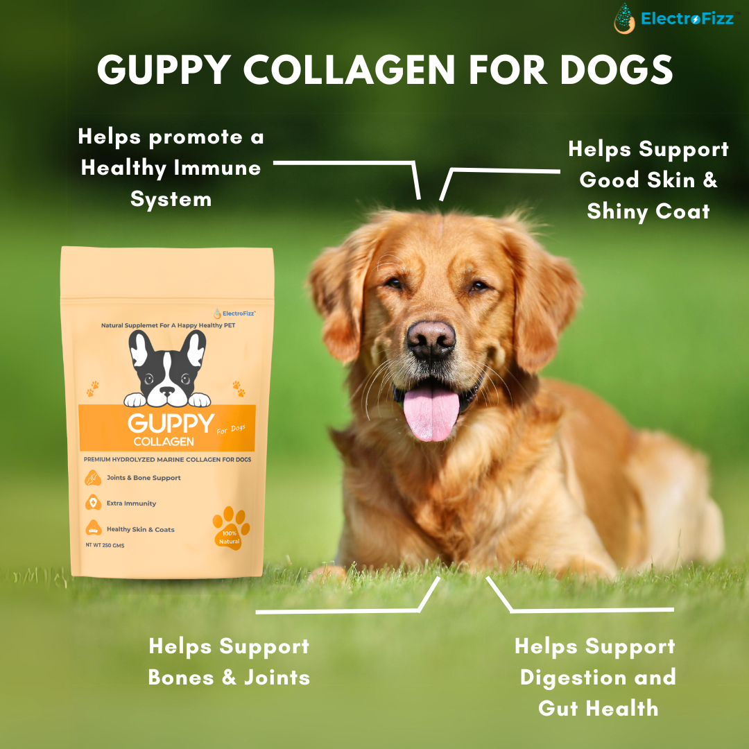 Hydrolysed Marine Collagen Powder for Dogs for Bone and Joint Health, Osteoarthritis, Healthy Coat and Skin Health, Digestive System Non GMO, Gluten Free, Soy Free- 250 Gms