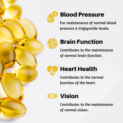 ElectroFizz Premium Fish Oil Capsule For Men & Women (1000mg Omega 3 with 180 mg EPA & 120 mg DHA), for Brain- 60 Softgels